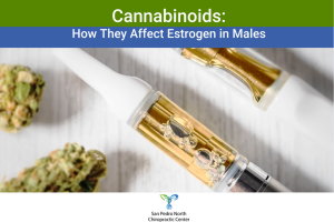 Cannabinoids How They Affect Estrogen in Males
