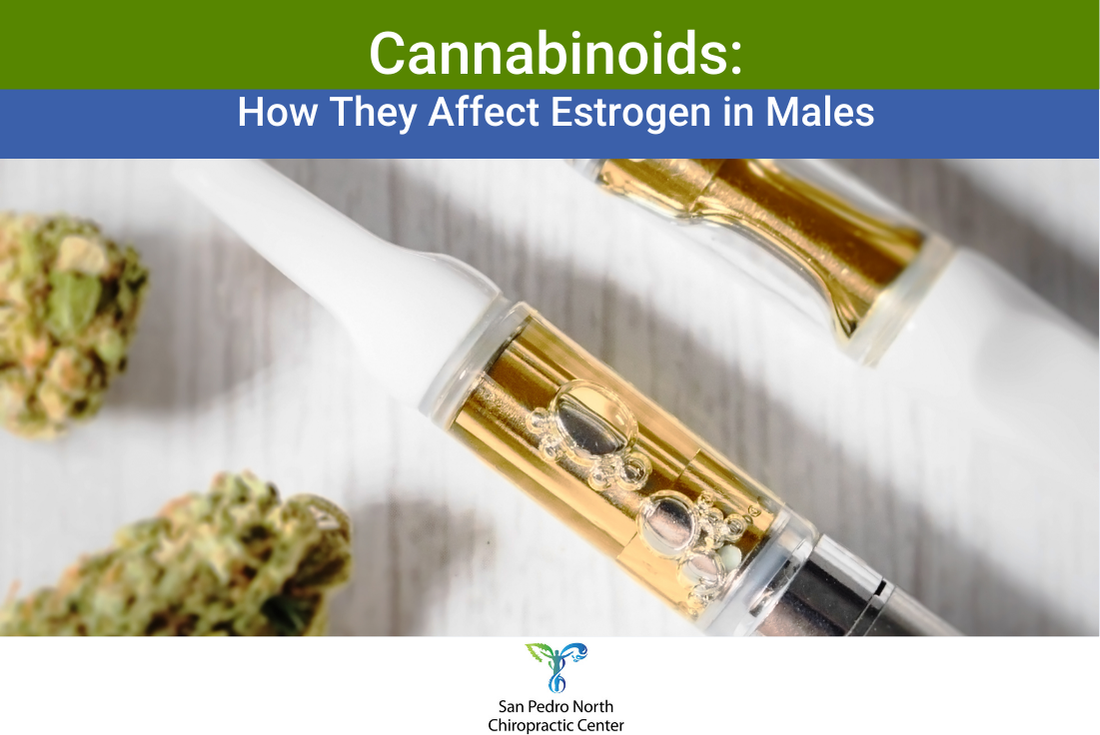 Cannabinoids How They Affect Estrogen in Males