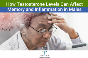 How Testosterone Levels Can Affect Memory and Inflammation in Males