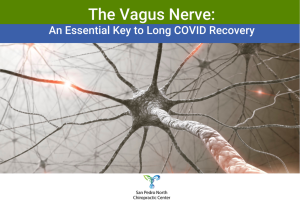The Vagus Nerve An Essential Key to Long COVID Recovery